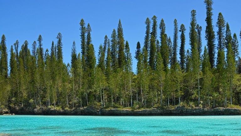 Natural Pool, Isle of Pines, New Caledonia